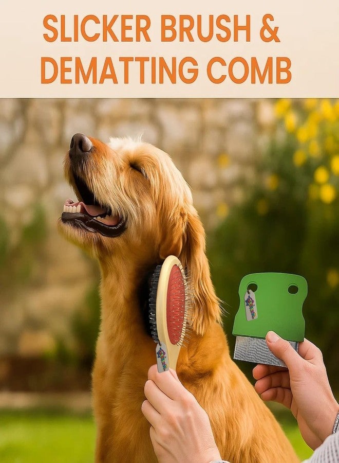 ويستيرن إرا مجموعة العناية بالحيوانات الأليفة من ويسترن إيرا 2 في 1 للكلاب والقطط | فرشاة خشبية بشعيرات مزدوجة الجوانب لإزالة الشعر الزائد | مشط يدوي للبراغيث بدبابيس معدنية للحيوانات الأليفة | أداة لإزالة القراد والبراغيث (عشوائية) - Image 2